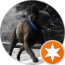 Mike Wilen profile picture